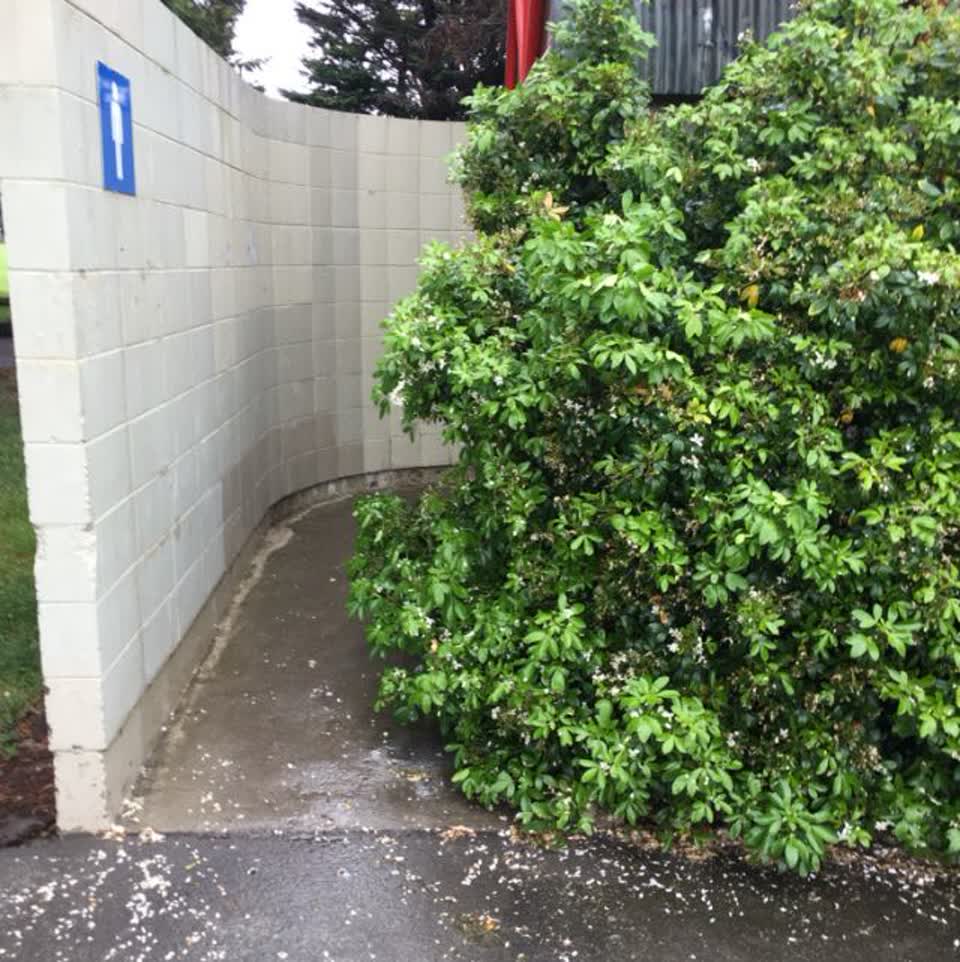 The photograph attached to this parks report