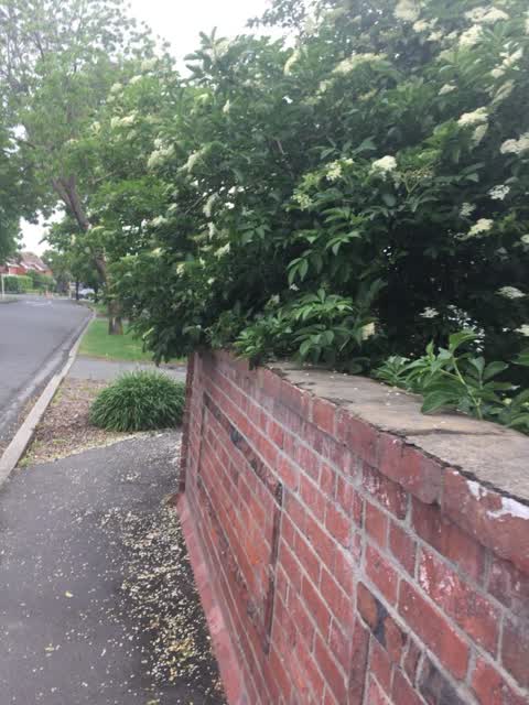 Roading/Streets, a report photo