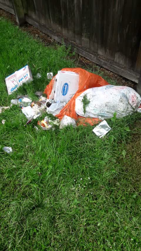 Rubbish/Recycling, a report photo