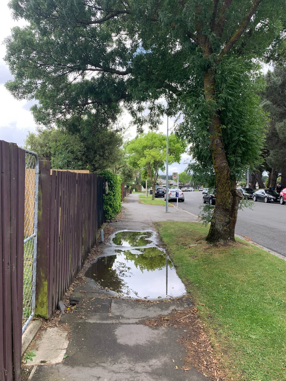 The photograph attached to this roading/streets report