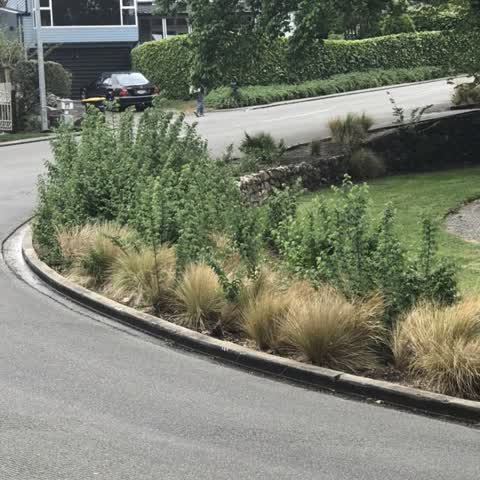 Parks, a report photo