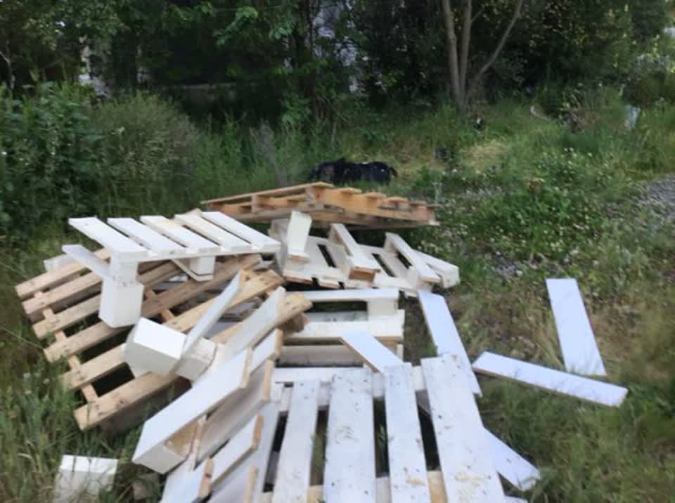The photograph attached to this rubbish/recycling report