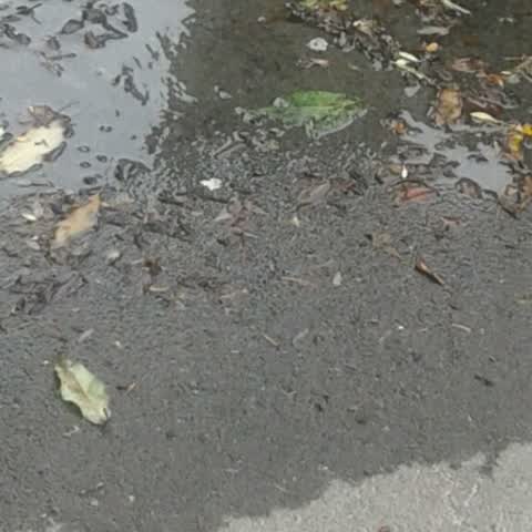 Water Supply, a report photo