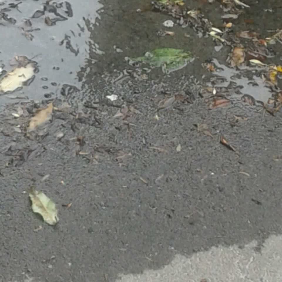 The photograph attached to this water supply report