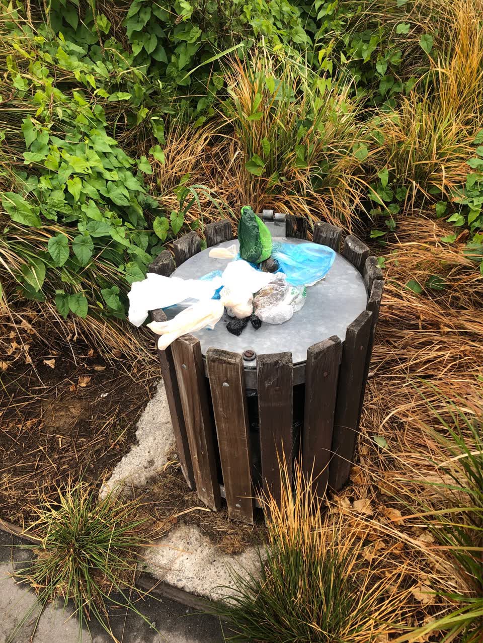 The photograph attached to this rubbish/recycling report