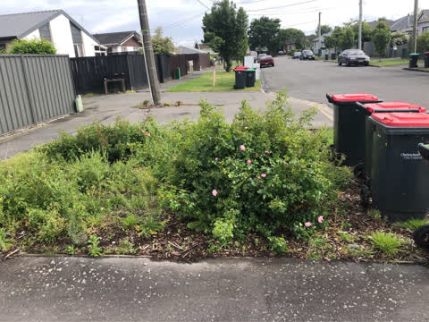 Roading/Streets, a report photo