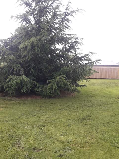 Parks, a report photo