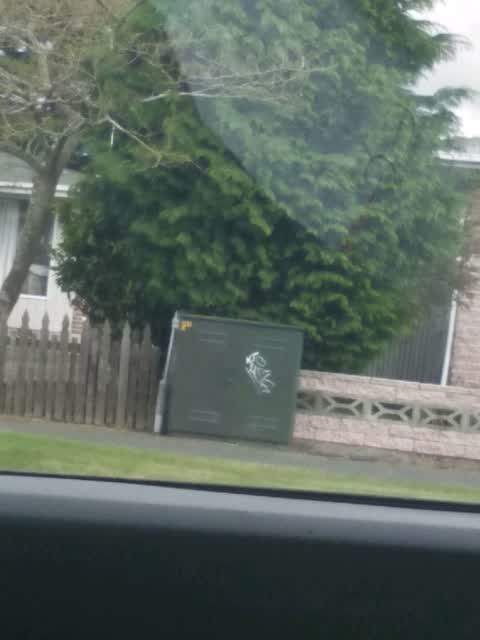 Graffiti, a report photo