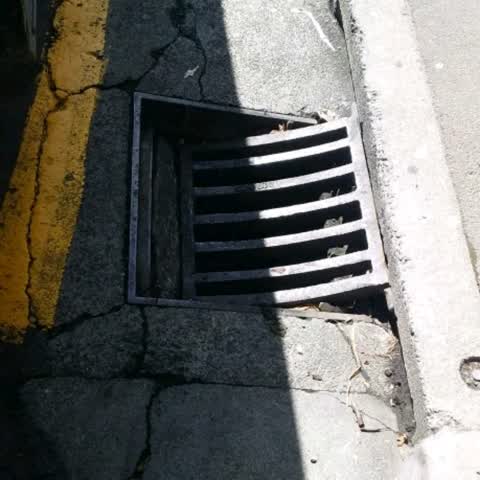 Roading/Streets, a report photo