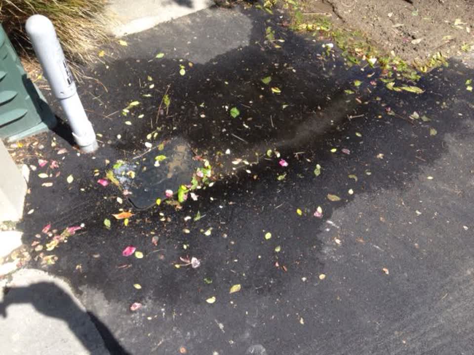 The photograph attached to this water supply report