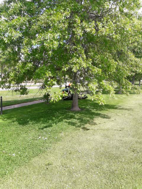 Parks, a report photo