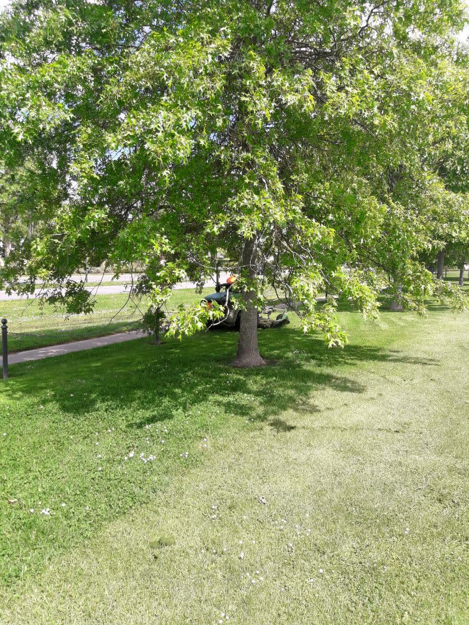 The photograph attached to this parks report
