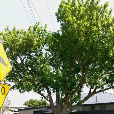 Roading/Streets, a report photo