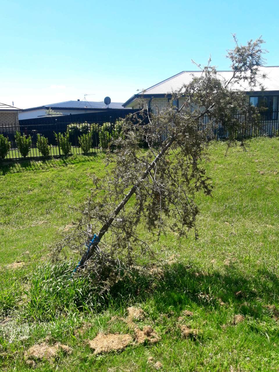 The photograph attached to this parks report