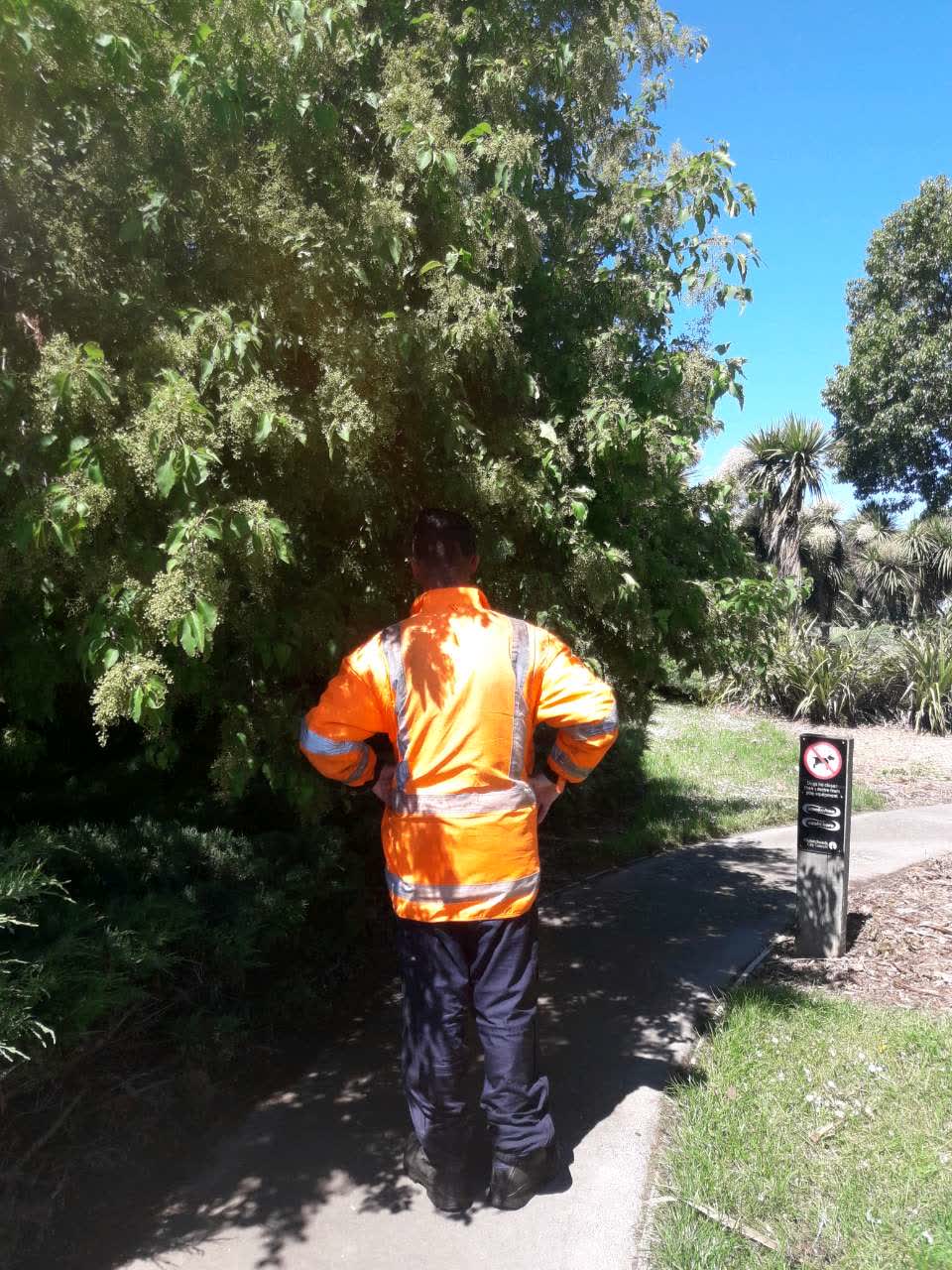 The photograph attached to this parks report