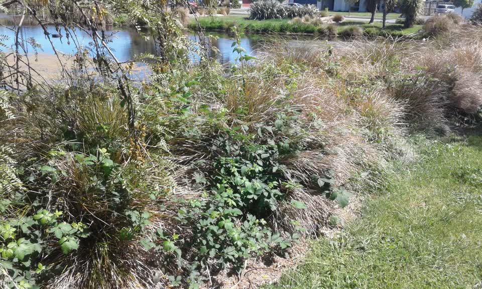 The photograph attached to this parks report