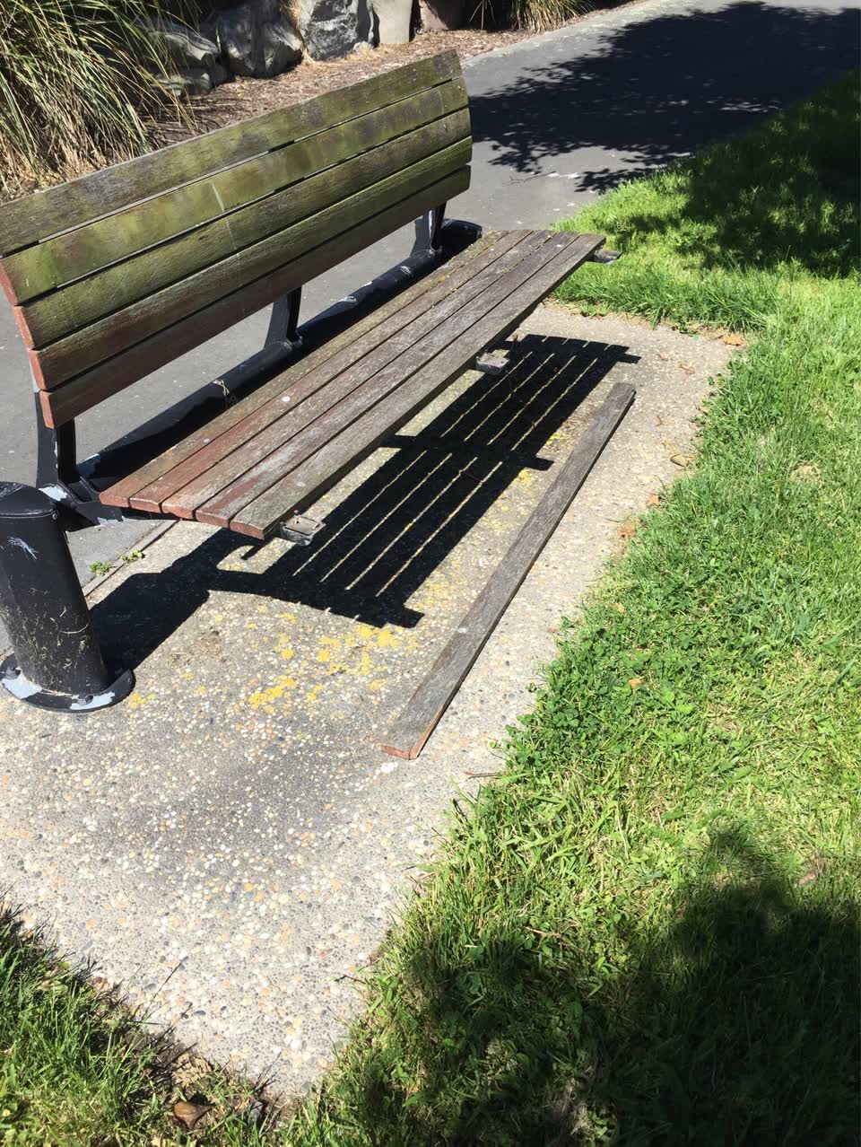 The photograph attached to this parks report