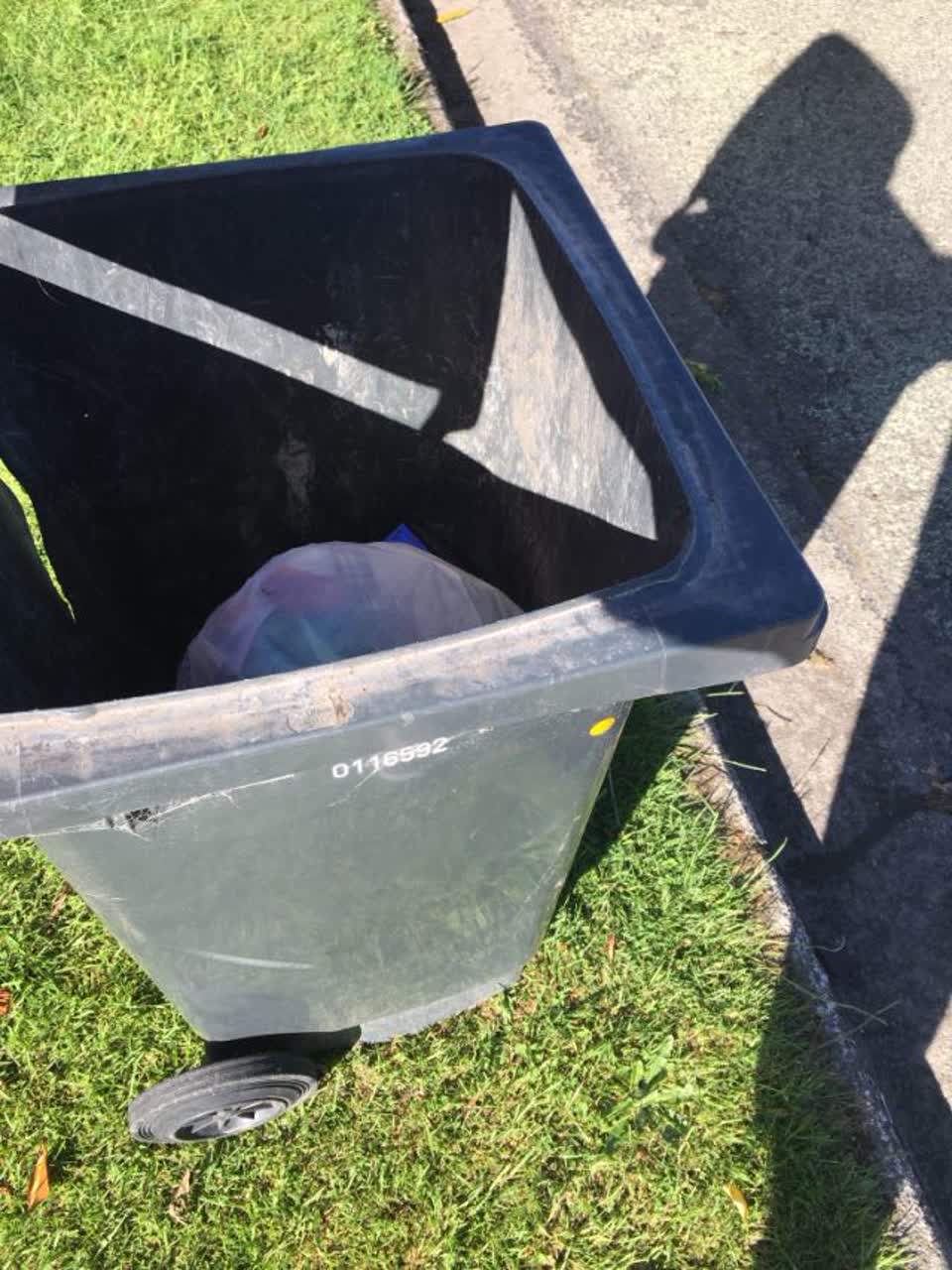 The photograph attached to this rubbish/recycling report