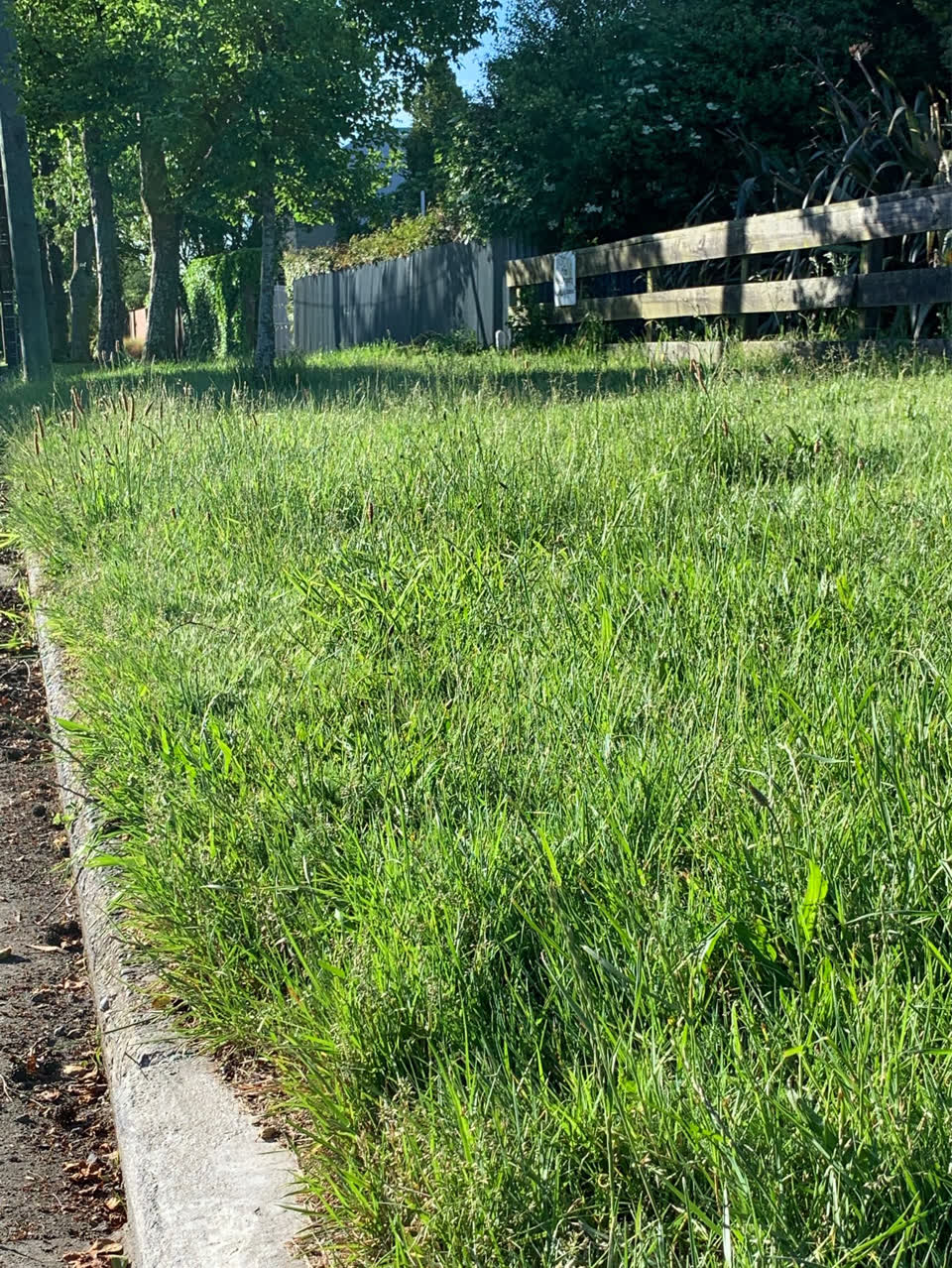 The photograph attached to this parks report