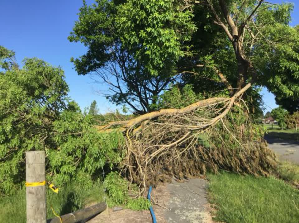 The photograph attached to this roading/streets report