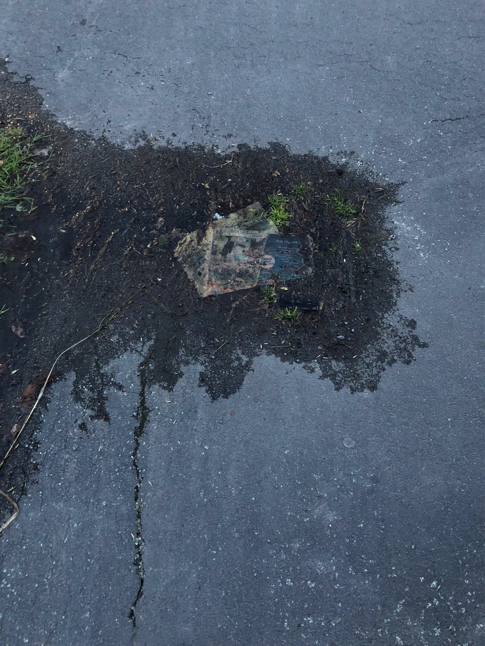 The photograph attached to this water supply report