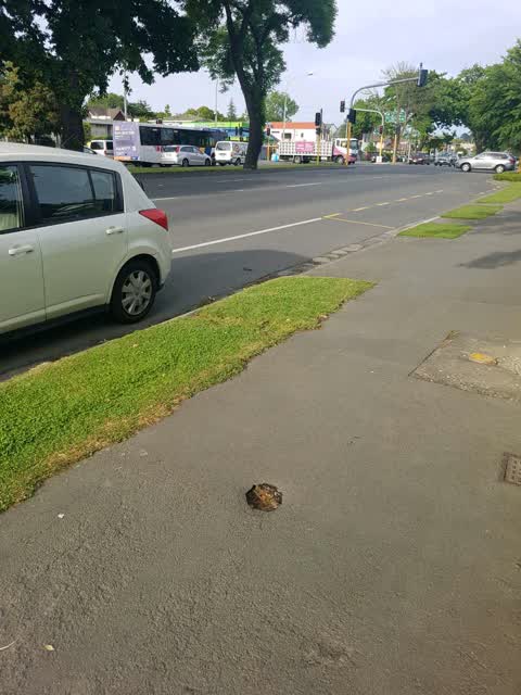 Roading/Streets, a report photo
