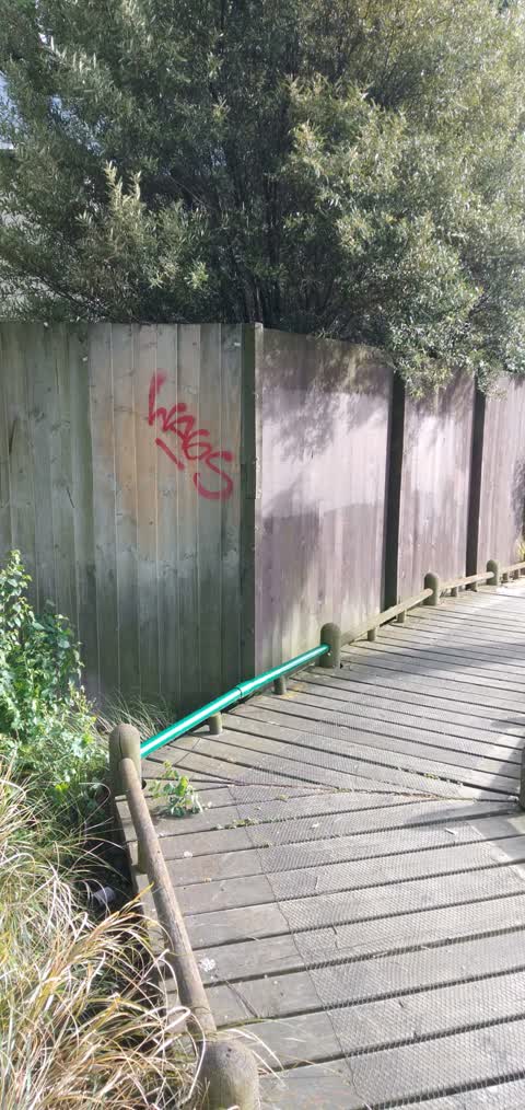 Graffiti, a report photo