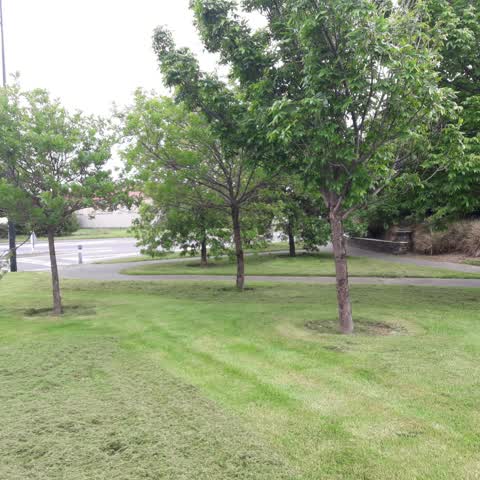 Parks, a report photo
