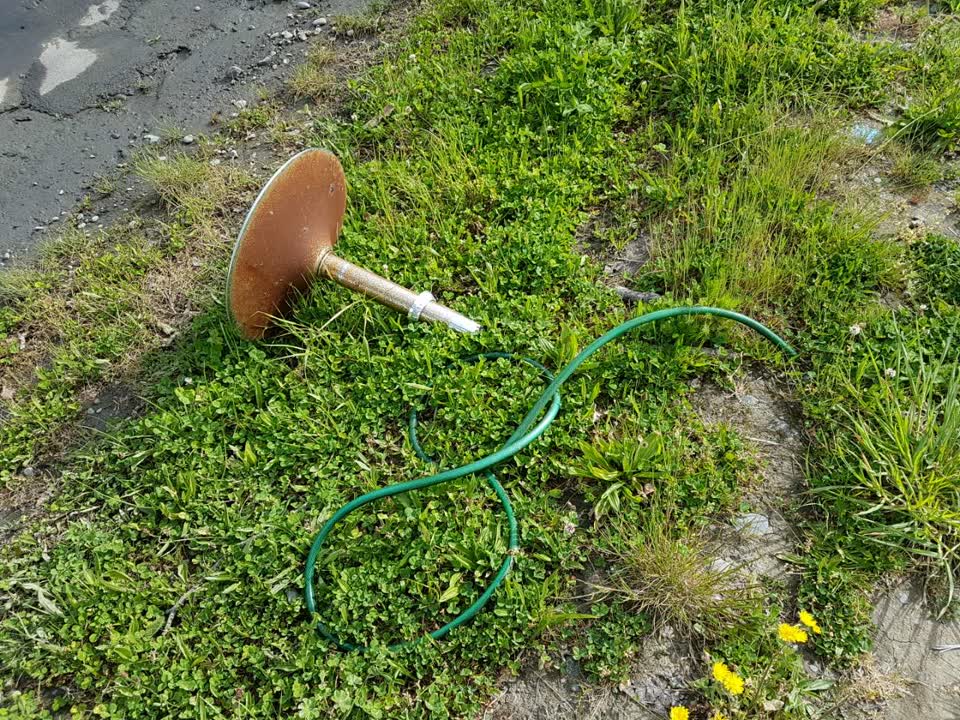 The photograph attached to this parks report