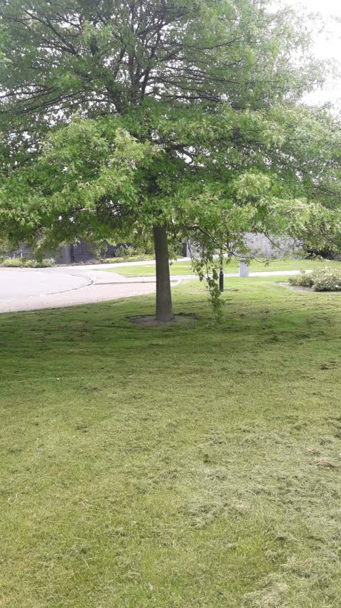 Parks, a report photo