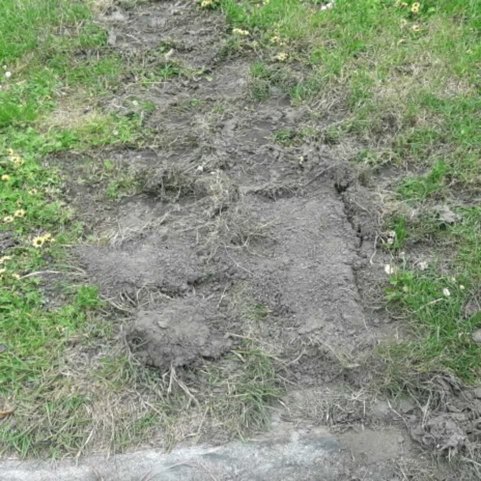 The photograph attached to this parks report