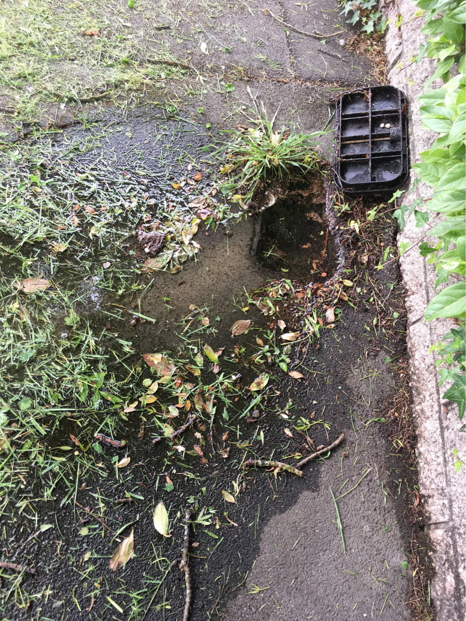The photograph attached to this water supply report