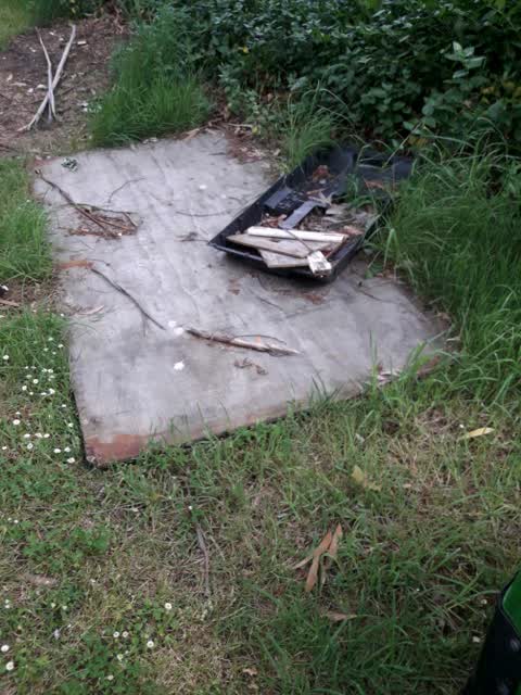 Parks, a report photo