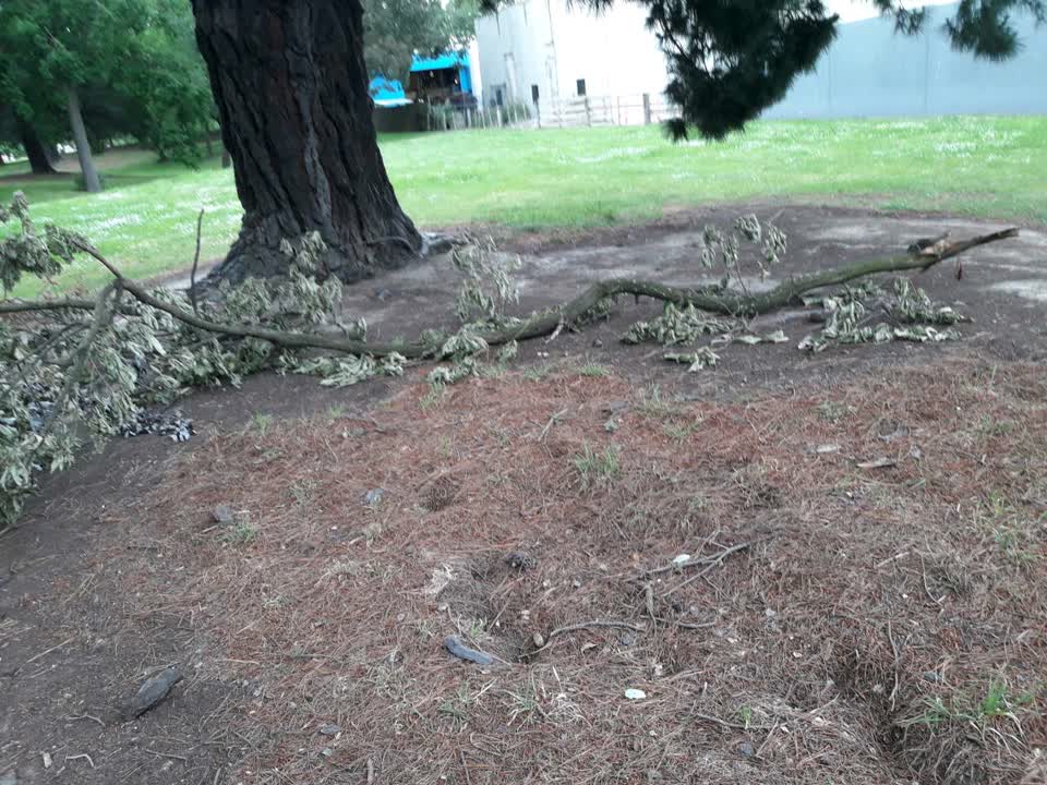 The photograph attached to this parks report