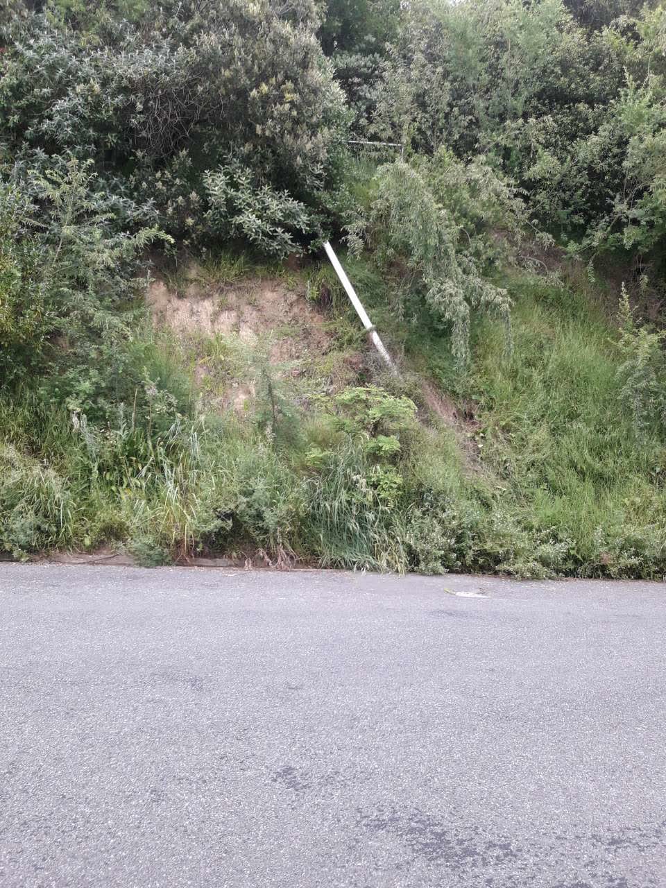 The photograph attached to this water supply report