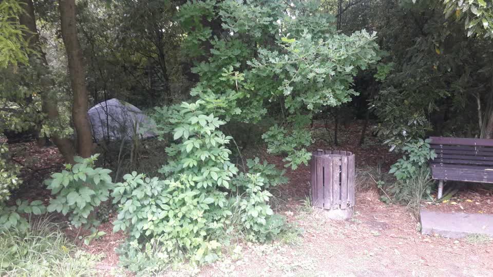 The photograph attached to this parks report