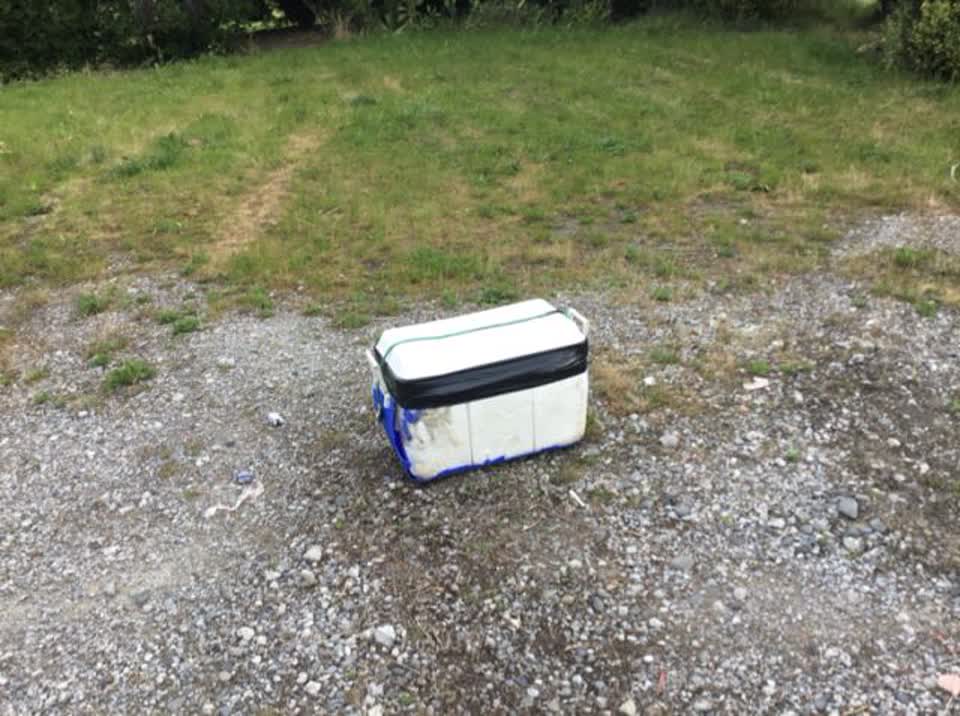 The photograph attached to this rubbish/recycling report