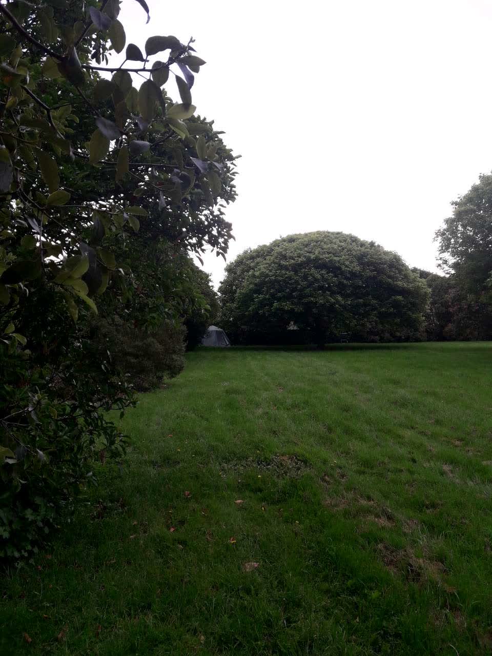 The photograph attached to this parks report