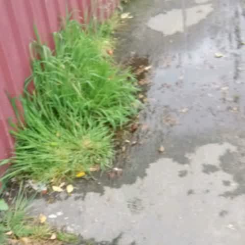 Flooding, a report photo