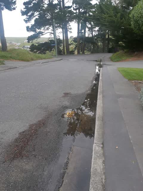 Flooding, a report photo