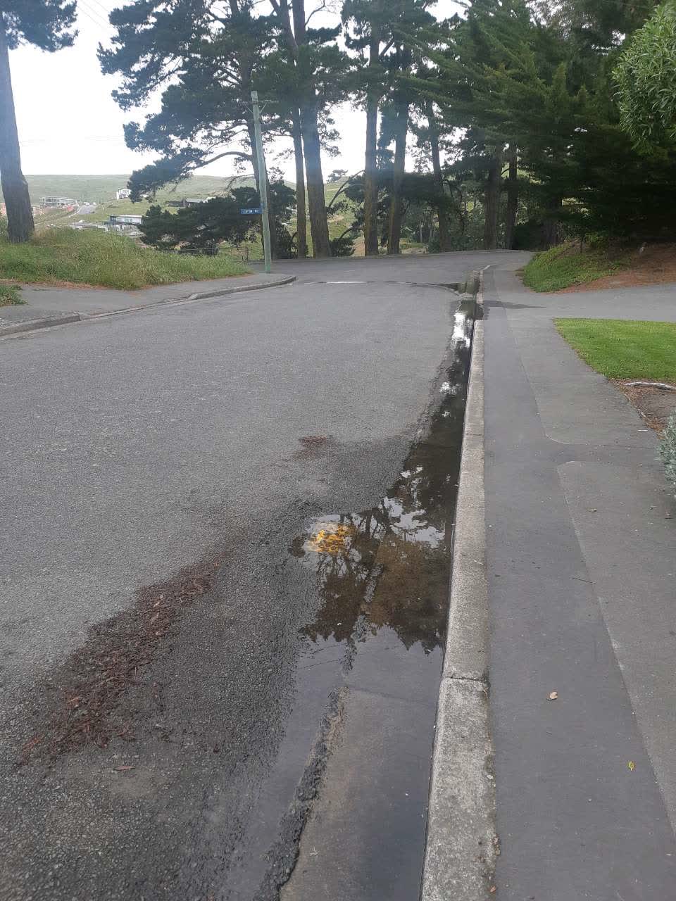 The photograph attached to this flooding report