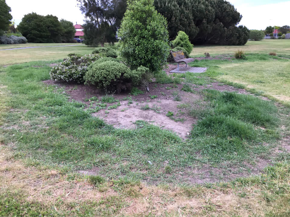 The photograph attached to this parks report
