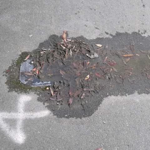 Flooding, a report photo