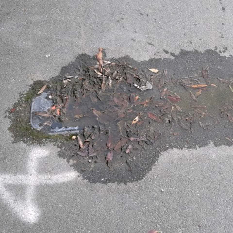 The photograph attached to this flooding report