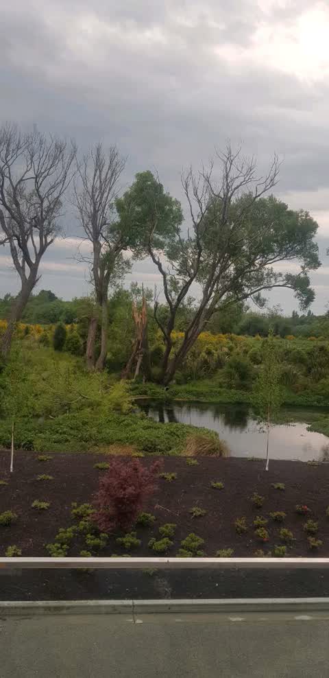 Water Supply, a report photo