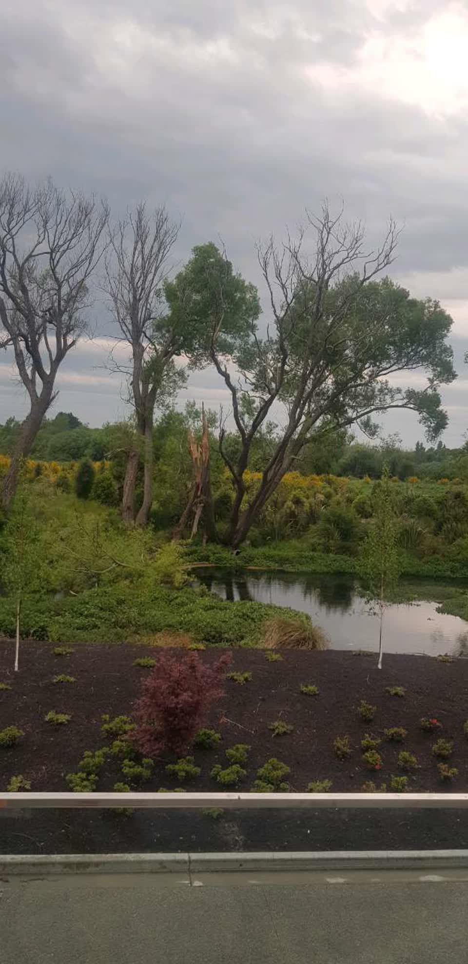 The photograph attached to this water supply report