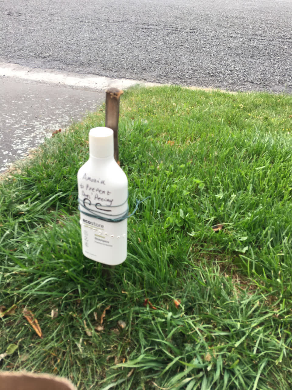 The photograph attached to this wastewater/stormwater report