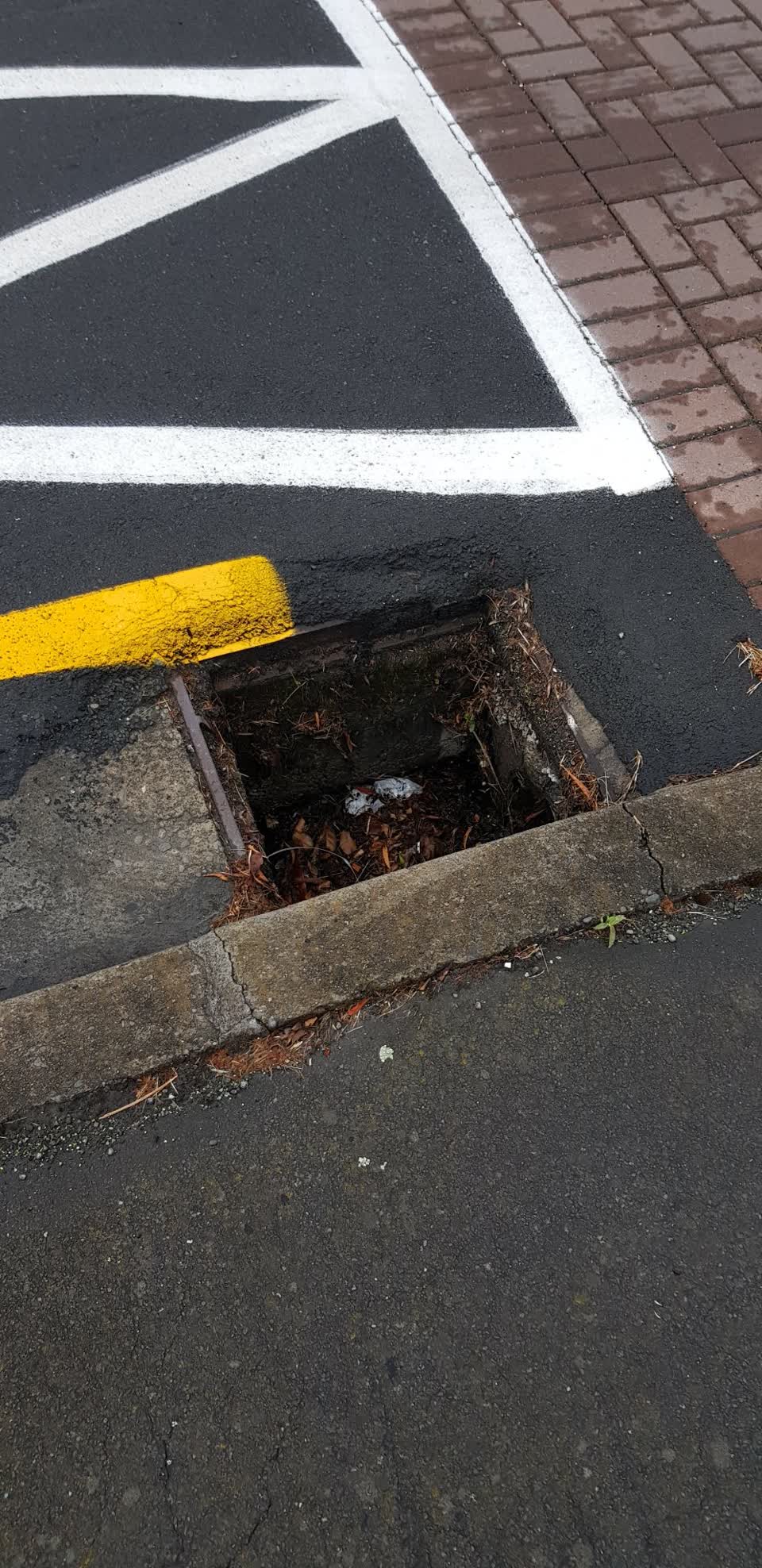 The photograph attached to this wastewater/stormwater report