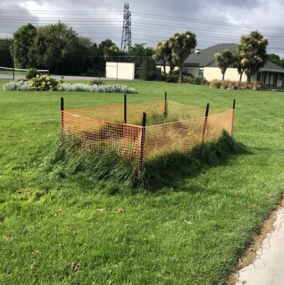 The photograph attached to this parks report