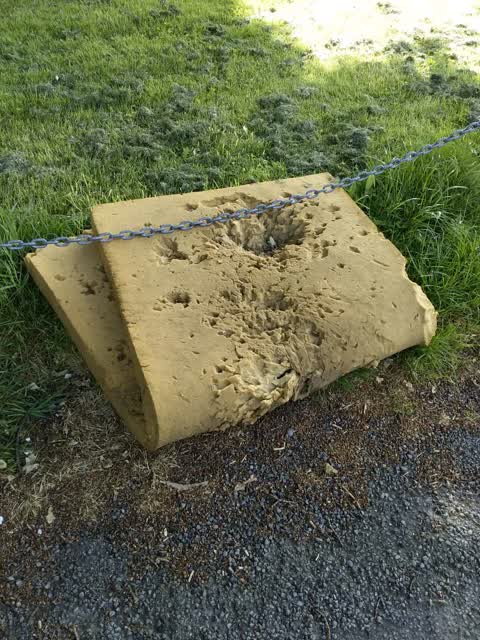 Rubbish/Recycling, a report photo